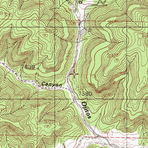 Topographic Map of Bond Canyon, NM