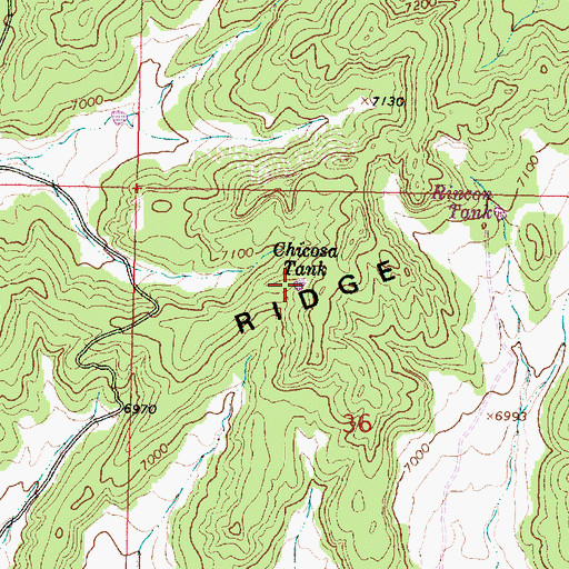 Topographic Map of Chicosa Tank, NM
