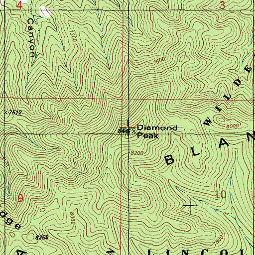 Topographic Map of Diamond Peak, NM