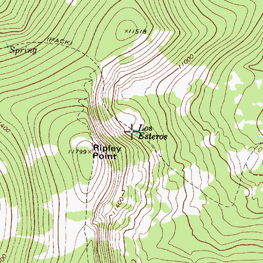 Topographic Map of Los Esteros, NM