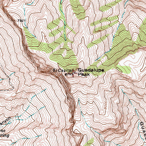 Topographic Map of Guadalupe Mountains, TX