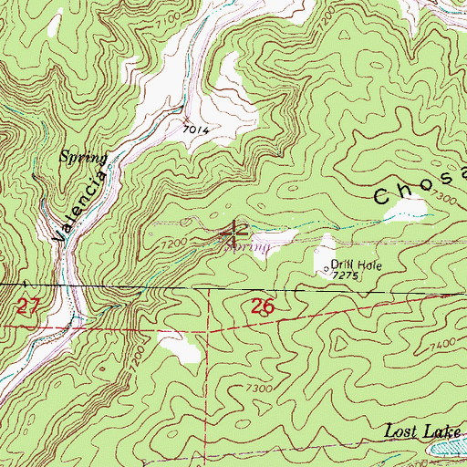 Topographic Map of Horn Spring, NM