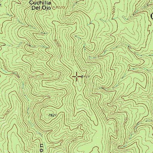 Topographic Map of McGaffey Ridge, NM