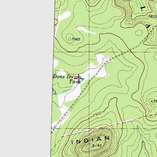 Topographic Map of Peaks Tank, NM