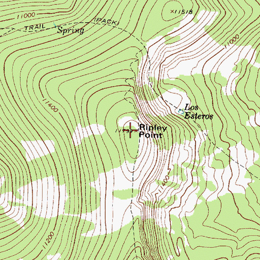 Topographic Map of Ripley Point, NM