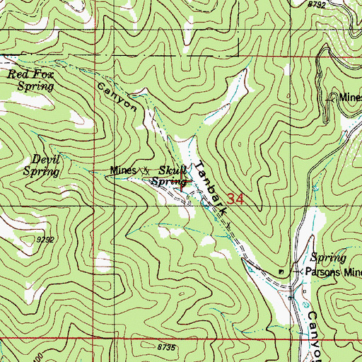 Topographic Map of Skull Spring, NM