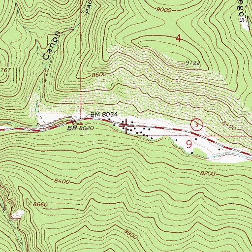 Topographic Map of Las Mochas, NM