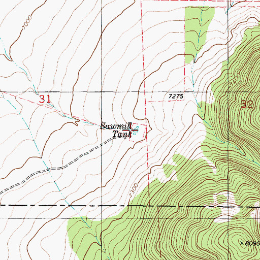 Topographic Map of Sawmill Tank, NM