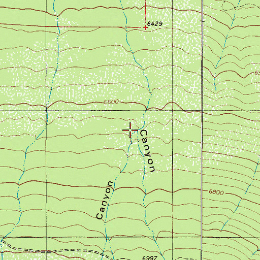 Topographic Map of Corral Canyon, NM