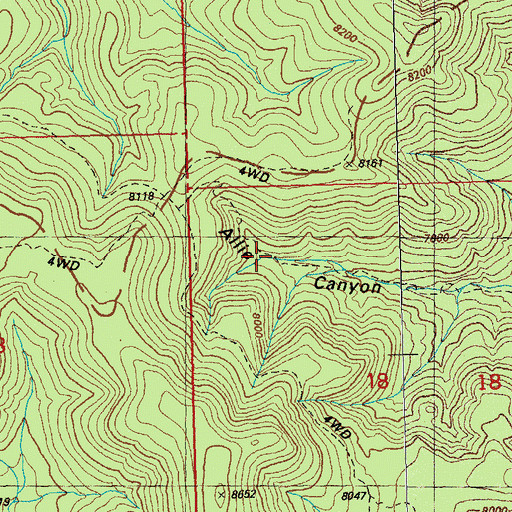 Topographic Map of Allie Spring, NM