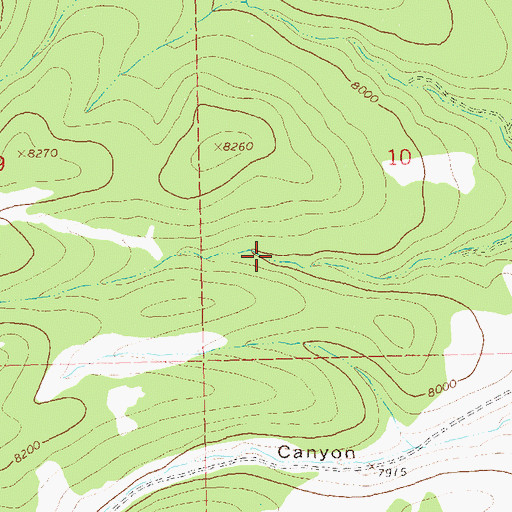 Topographic Map of Bonus Tank, NM