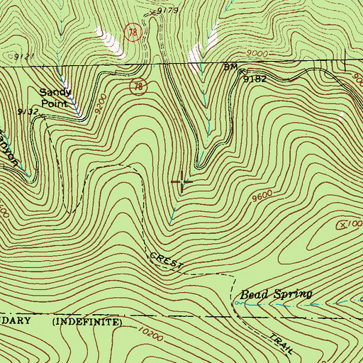 Topographic Map of Bursum Recreation Site, NM