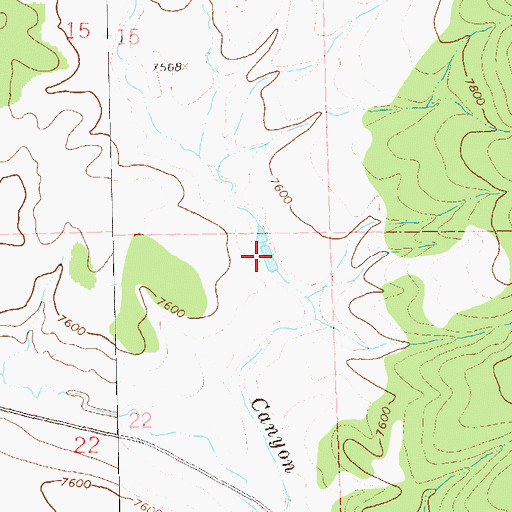 Topographic Map of Lower Canyon Creek Tank, NM