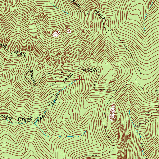 Topographic Map of Spider Saddle, NM