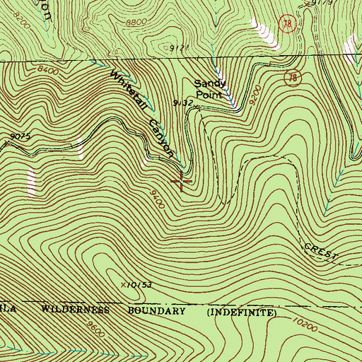 Topographic Map of Cold Spring, NM