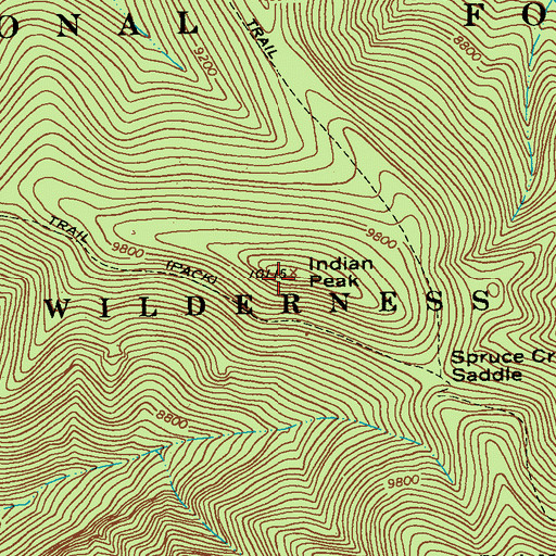 Topographic Map of Indian Peak, NM