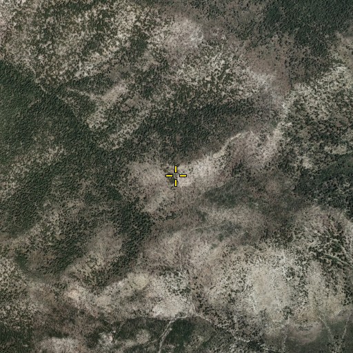 Aerial/Satellite Image of Rock Spring, NM