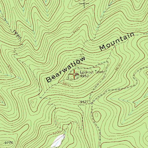 Topographic Map of Bearwallow Lookout, NM