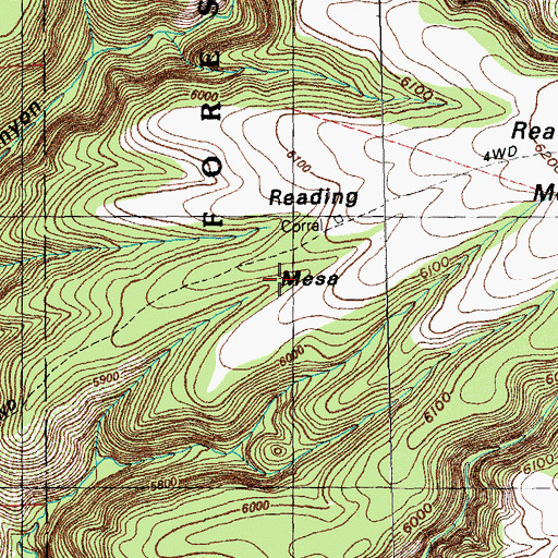 Topographic Map of Redding Mesa Dam, NM