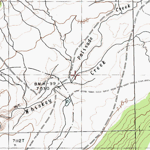 Topographic Map of Palisade Creek, AZ