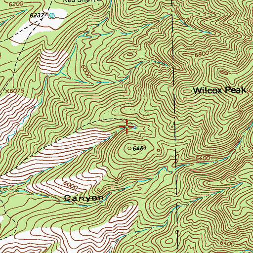 Topographic Map of Red Tank, NM