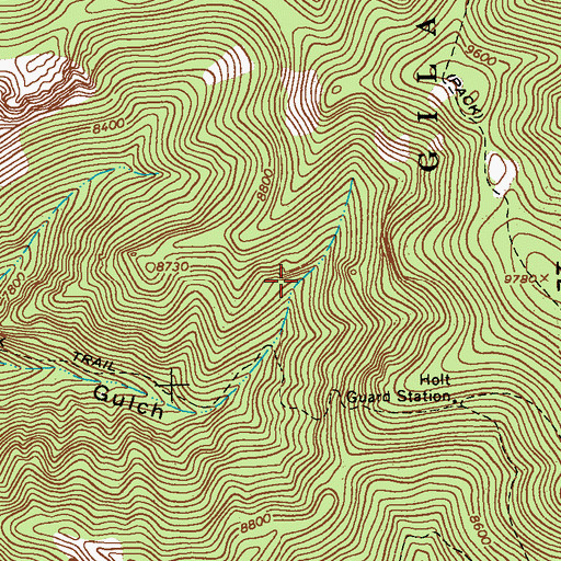 Topographic Map of Holt Spring, NM