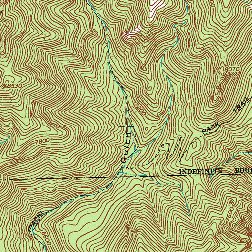 Topographic Map of Whitetail Spring, NM