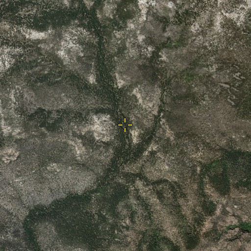 Aerial/Satellite Image of Whitetail Spring, NM