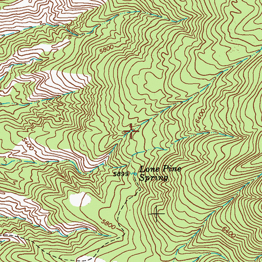 Topographic Map of Goat Spring, NM