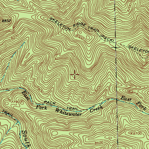 Topographic Map of Tennessee Meadow, NM