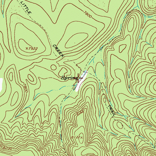 Topographic Map of McKenna Spring, NM