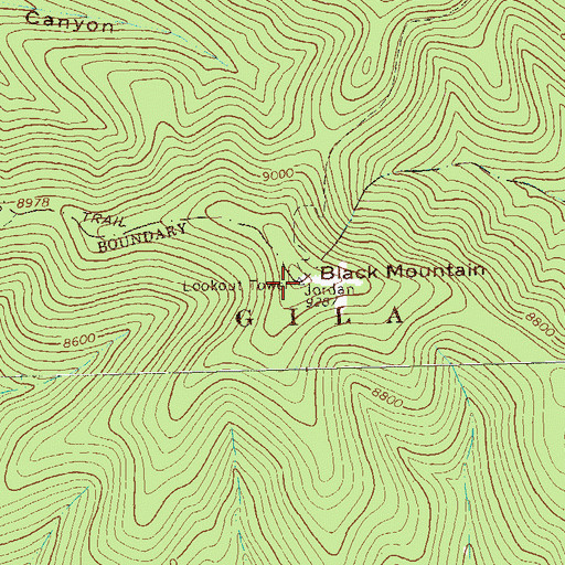 Topographic Map of Black Mountain Lookout, NM