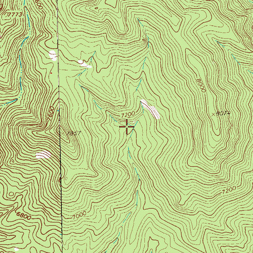 Topographic Map of White Rocks Spring, NM