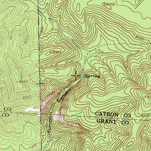 Topographic Map of Turnbo Spring, NM