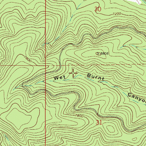 Topographic Map of Wet Burnt Tank, NM