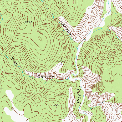 Topographic Map of Blue Range Wilderness, NM