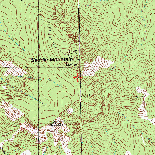 Topographic Map of Brushy Mountain, NM