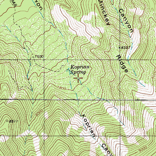 Topographic Map of Minckey Ridge, NM