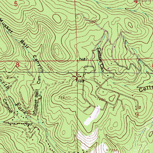 Topographic Map of Alpine Cellars Village, NM