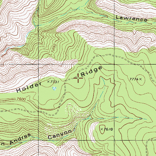 Topographic Map of Holder Ridge, NM