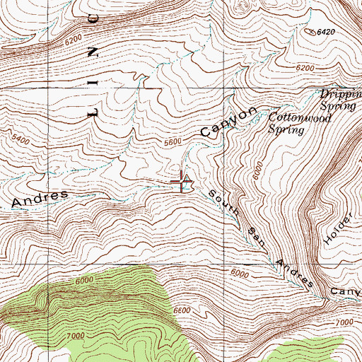 Topographic Map of South San Andres Canyon, NM