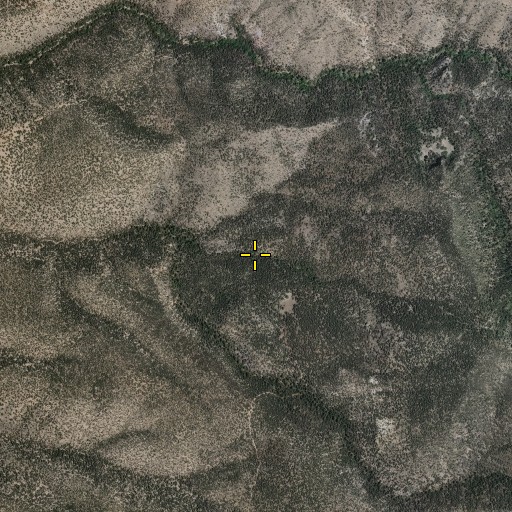 Aerial/Satellite Image of Burns Spring, NM