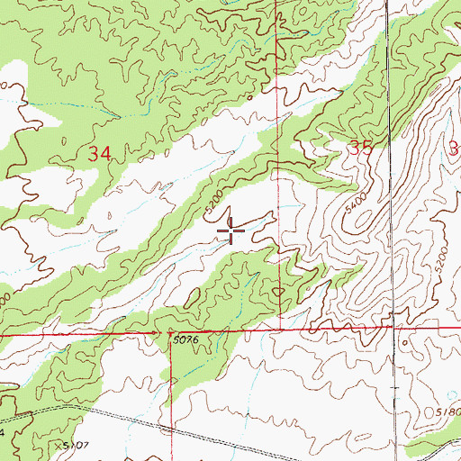 Topographic Map of New Tank, NM