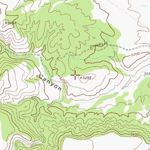 Topographic Map of Copper Creek Water Storage Tank, NM