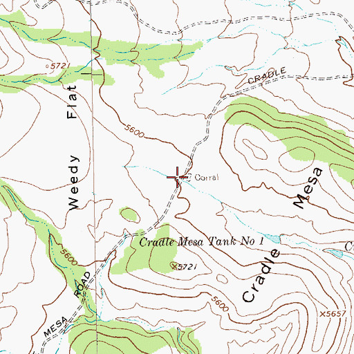 Topographic Map of Twin Sister Corral, NM