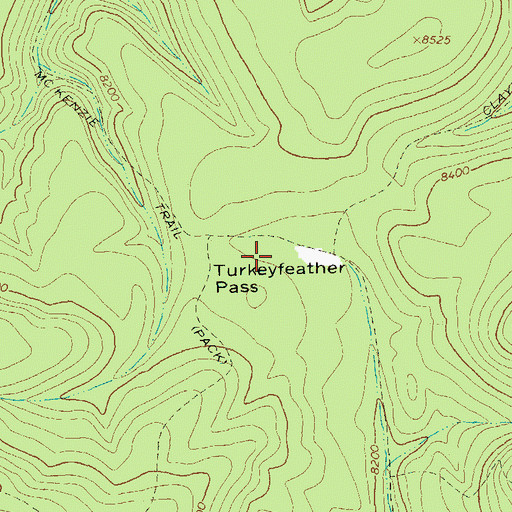 Topographic Map of Turkeyfeather Pass, NM