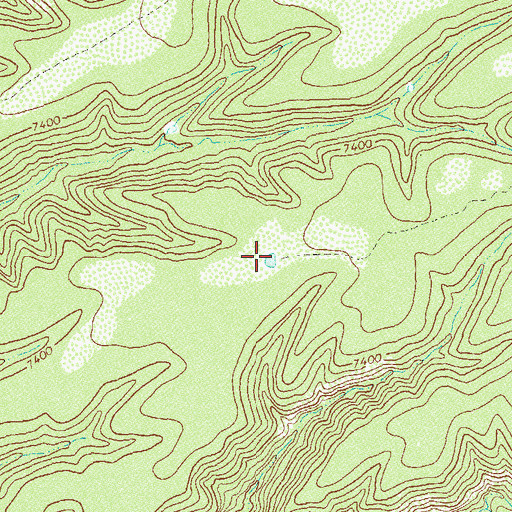 Topographic Map of Squaw Creek Ridge Tank, NM