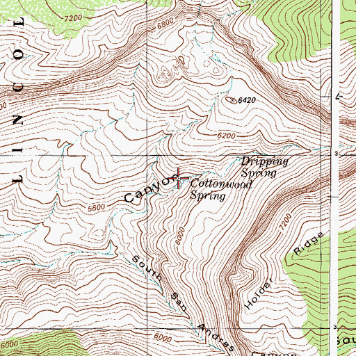 Topographic Map of Cottonwood Spring, NM