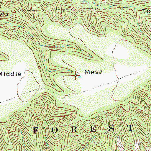 Topographic Map of Middle Mesa Tank, NM