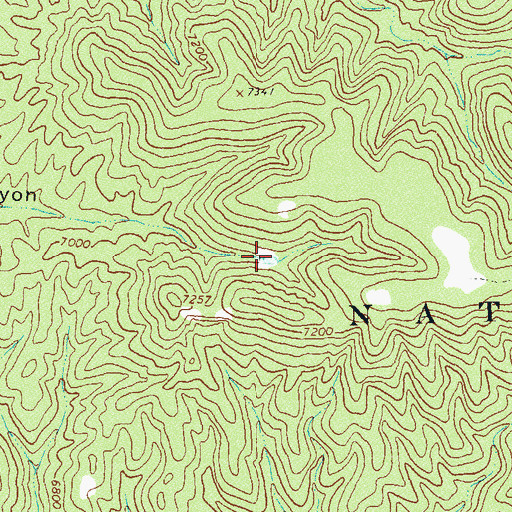 Topographic Map of Upper Corral Canyon Tank, NM